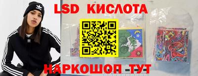 прущие крисы Будённовск
