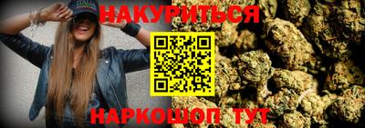 прущие крисы Будённовск