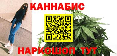 прущие крисы Будённовск