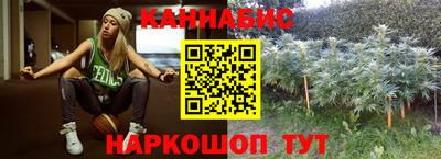 прущие крисы Будённовск