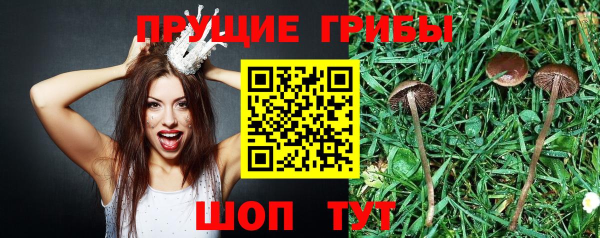 Псилоцибиновые грибы MAGIC MUSHROOMS Смоленск