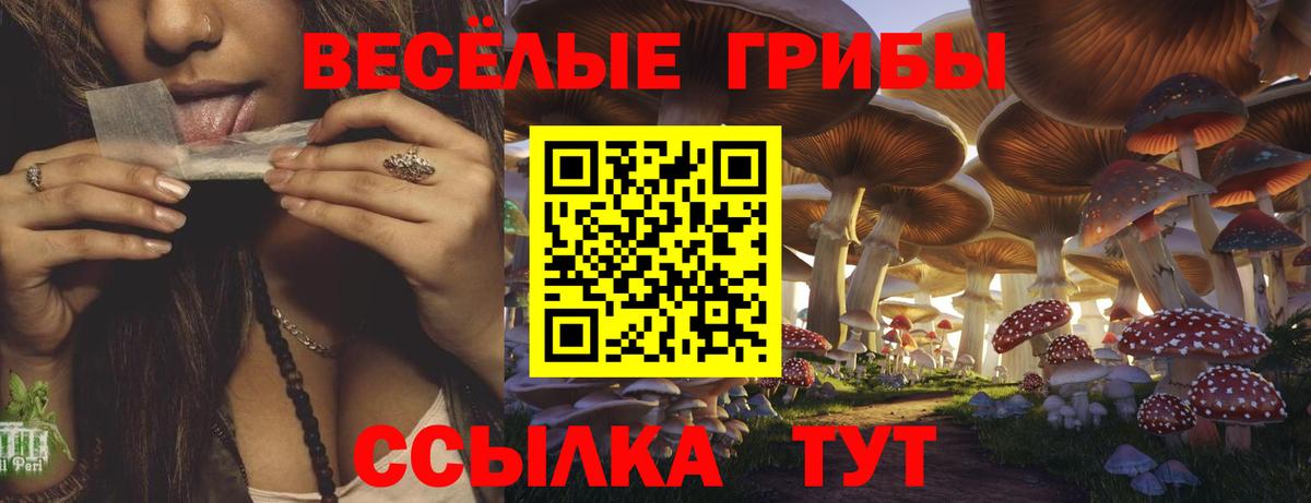 Смоленск  Псилоцибиновые грибы прущие грибы  Псилоцибиновые грибы мухоморы  Вход с VPN 